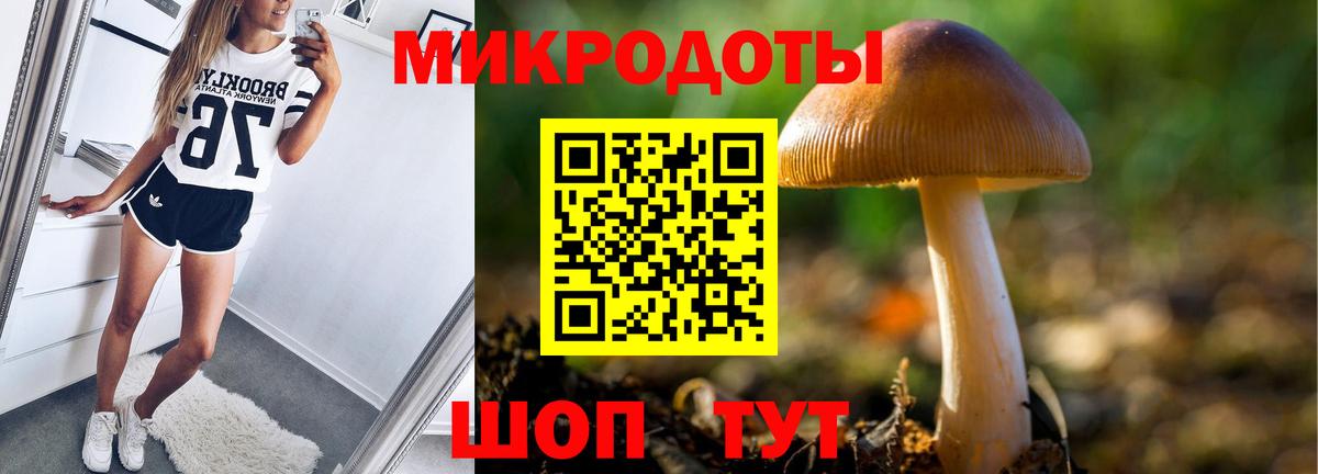 Псилоцибиновые грибы GOLDEN TEACHER Кострома